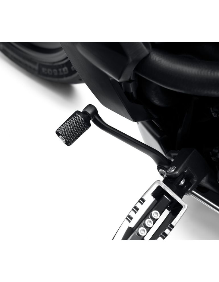 Wild One Shifter Peg