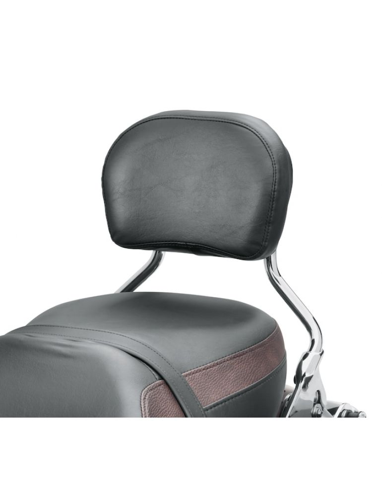 Air Wing Passenger Backrest Pad