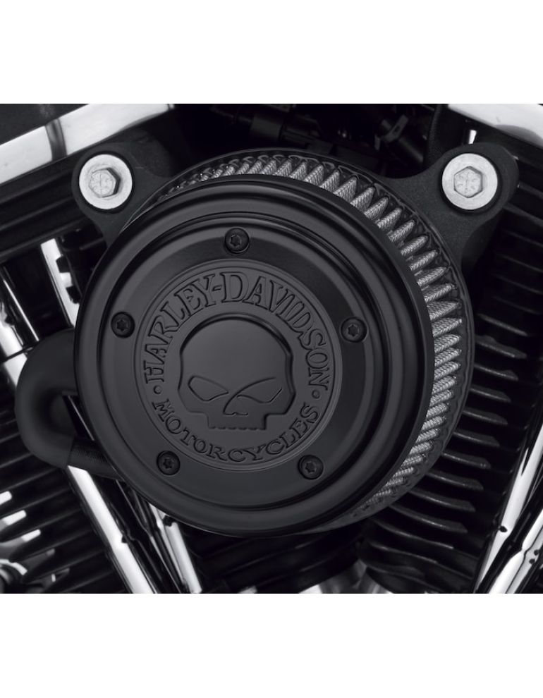 Willie G Skull Air Cleaner Trim