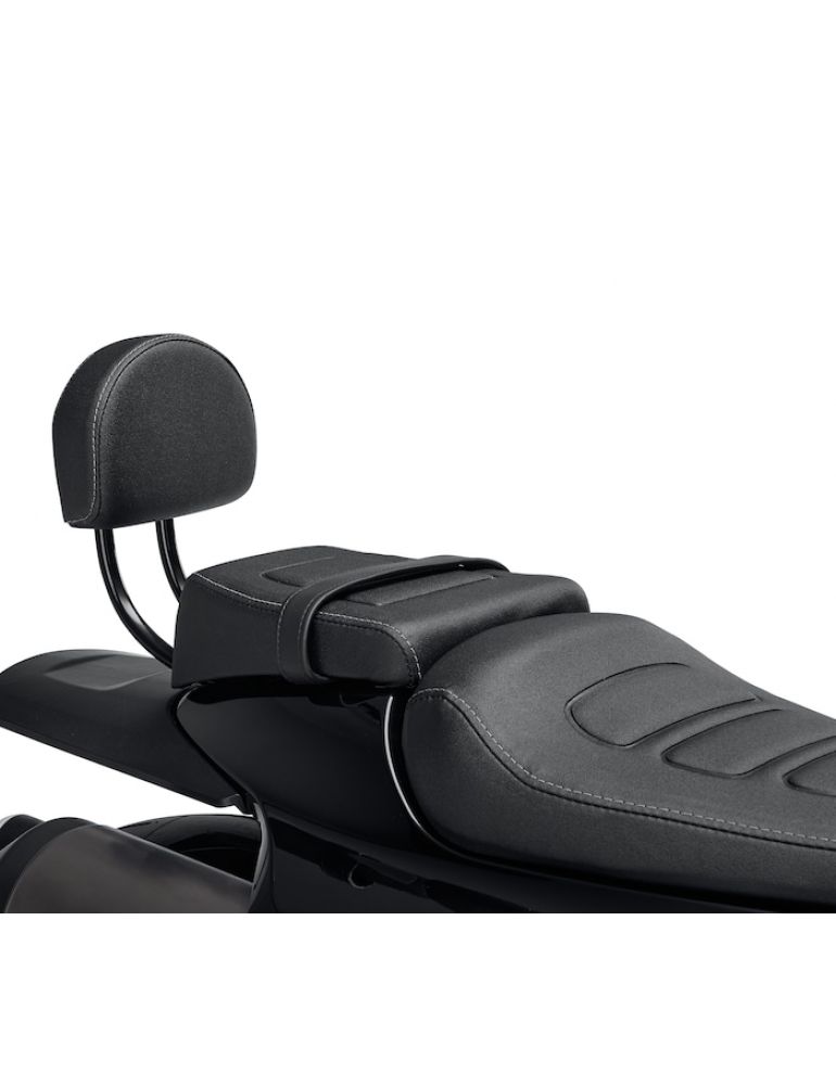 Passenger Backrest Kit