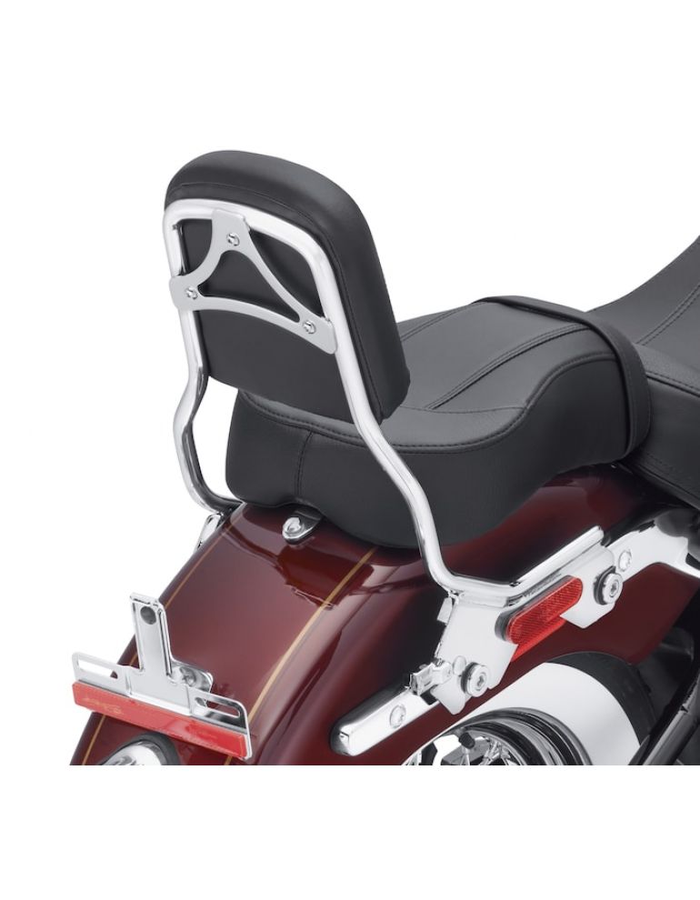 HoldFast Sissy Bar Upright - Standard Height - Chrome