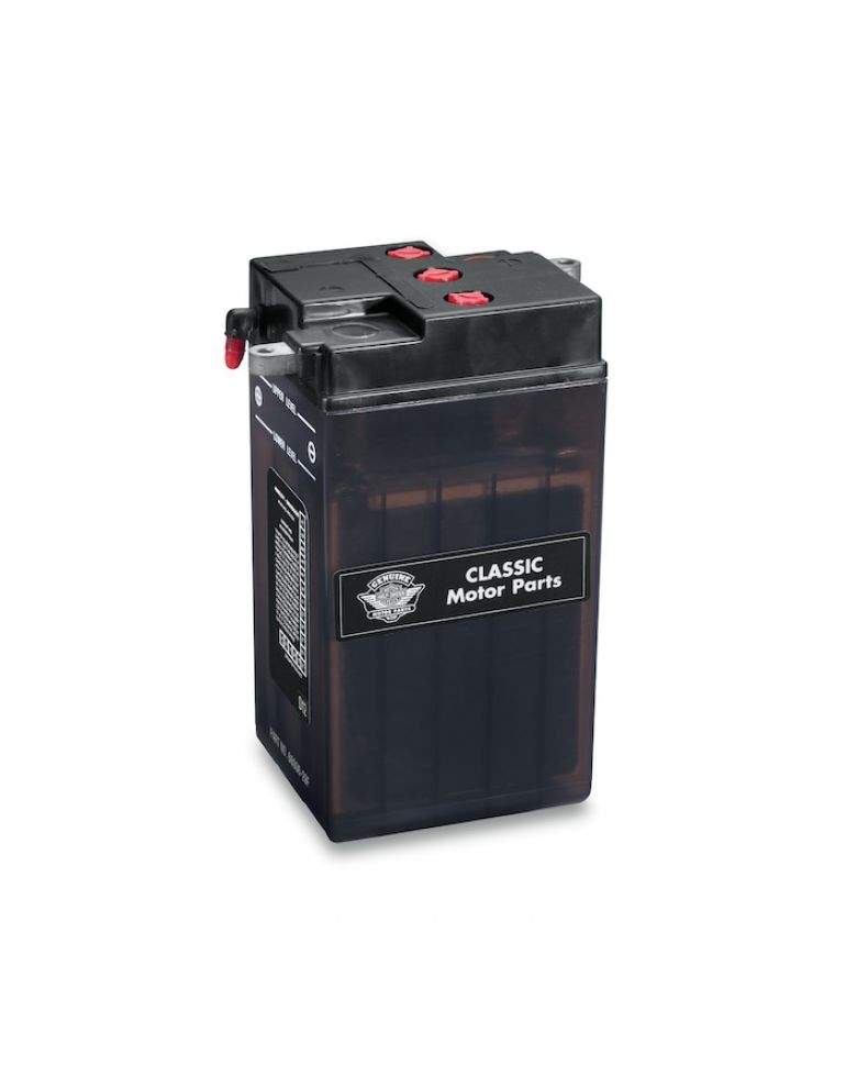 6V Conventional Battery - Dry
