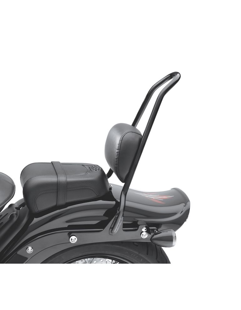 One-Piece H-D Detachables Tall Sissy Bar Upright