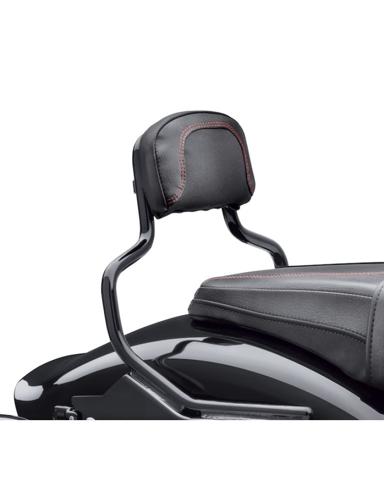 Compact Passenger Backrest Pad