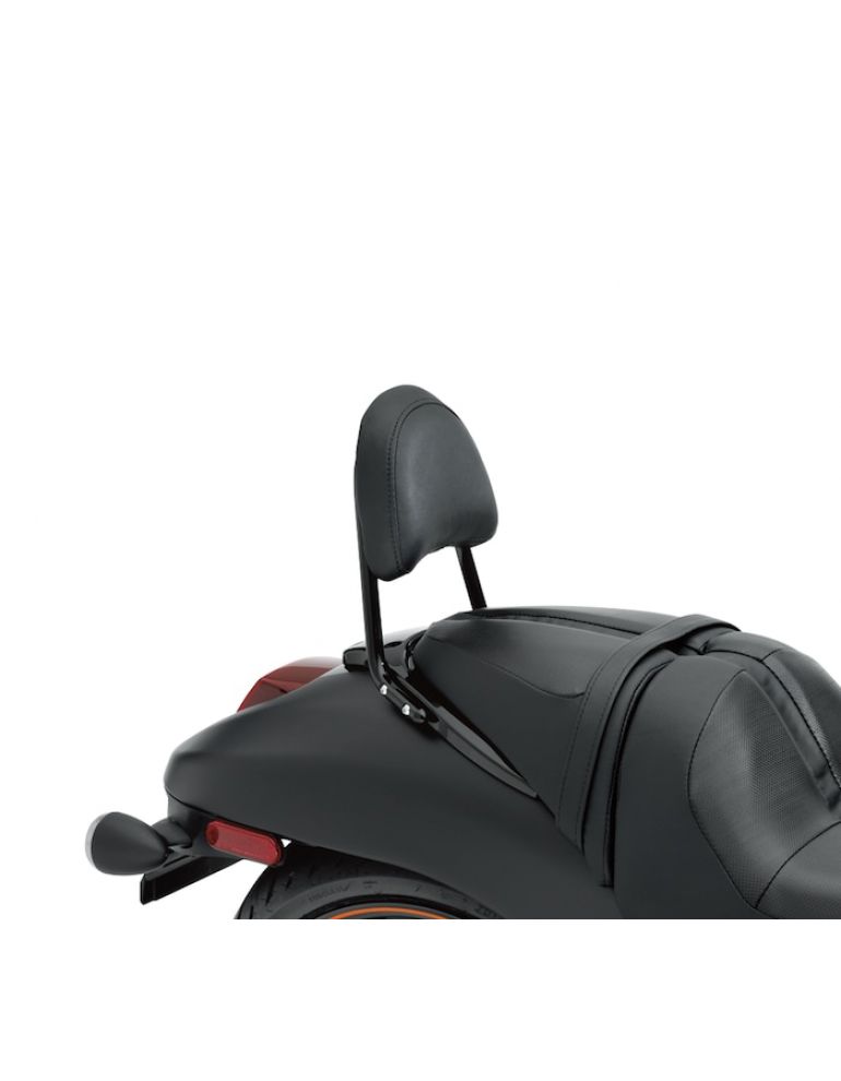 Compact Passenger Backrest Pad