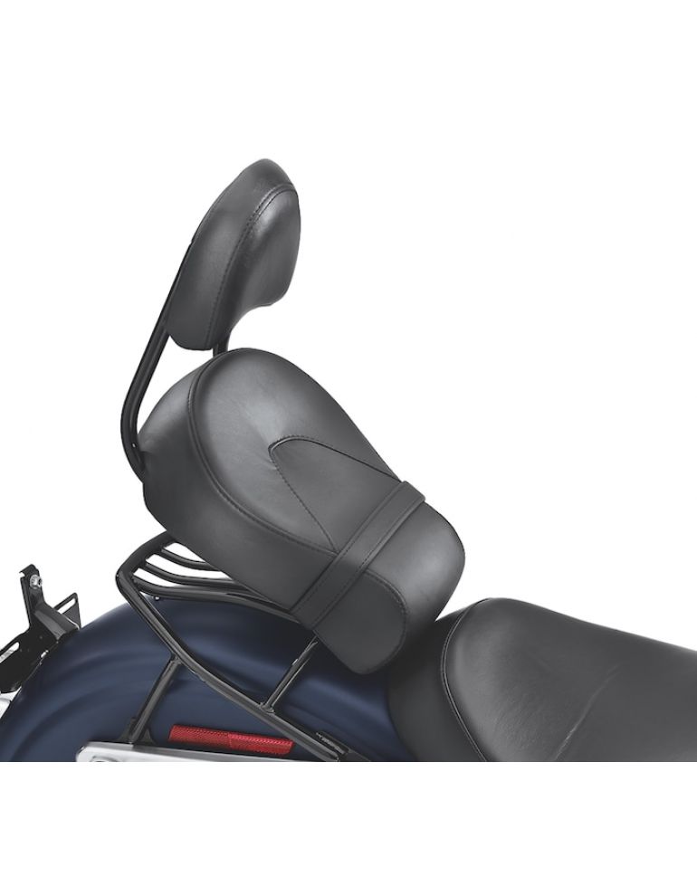 Passenger Sissy Bar Upright