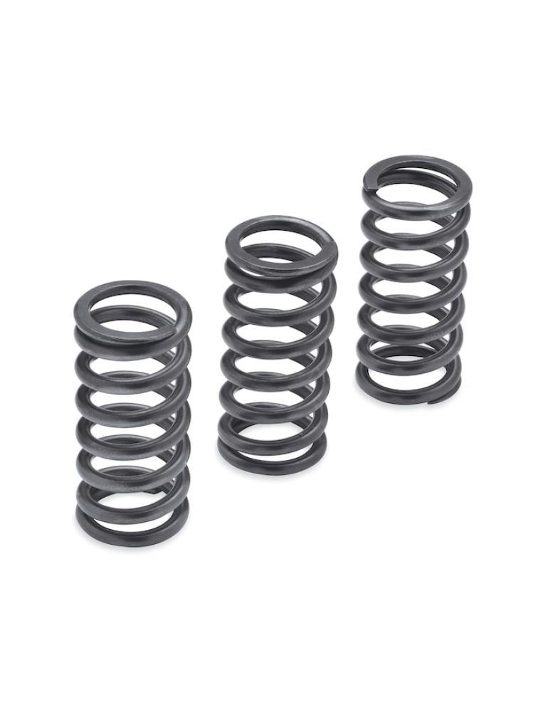 Milwaukee-Eight Engine Clutch Springs - 1275N