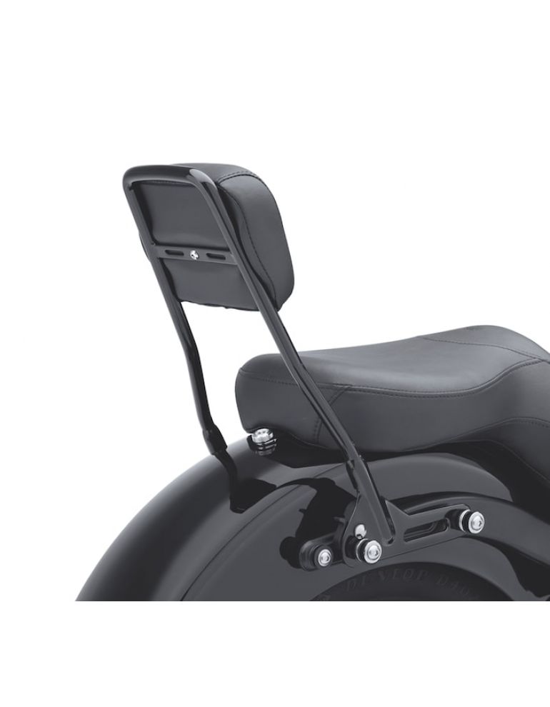 One-Piece H-D Detachables Sissy Bar