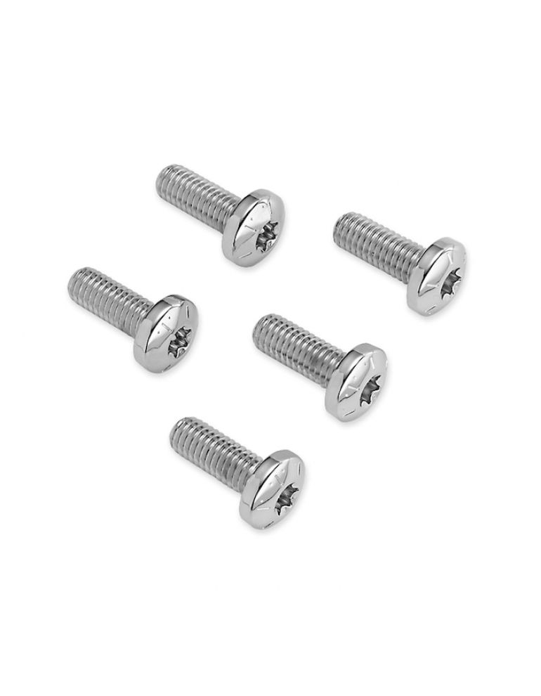 Chrome Rear Brake Disc Hardware Kit