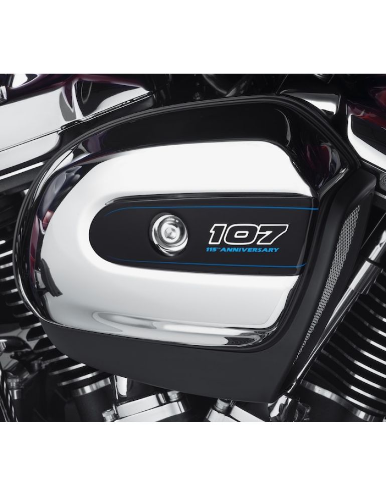 115th Anniversary Air Cleaner Trim