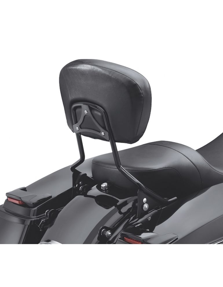 H-D Detachables Sissy Bar Upright