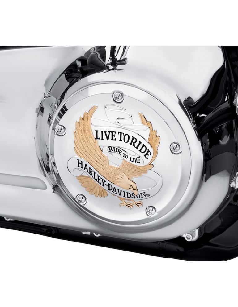 Live to Ride Derby Cover