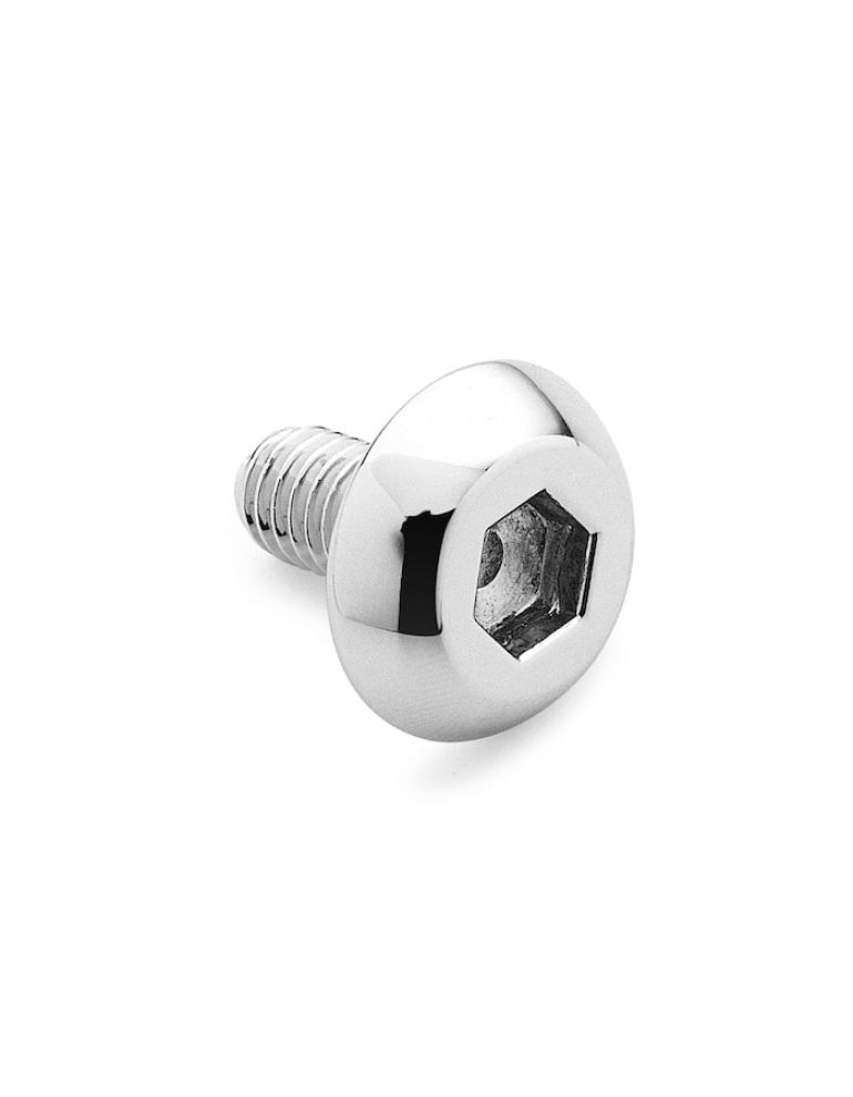 Air Cleaner Screw