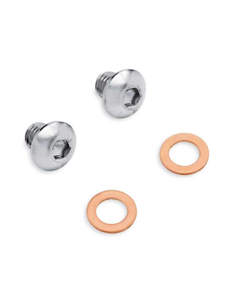 Chrome Fork Slider Drain Screw Kit