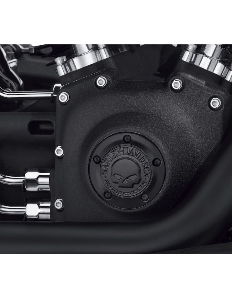 Willie G Skull Timer Cover