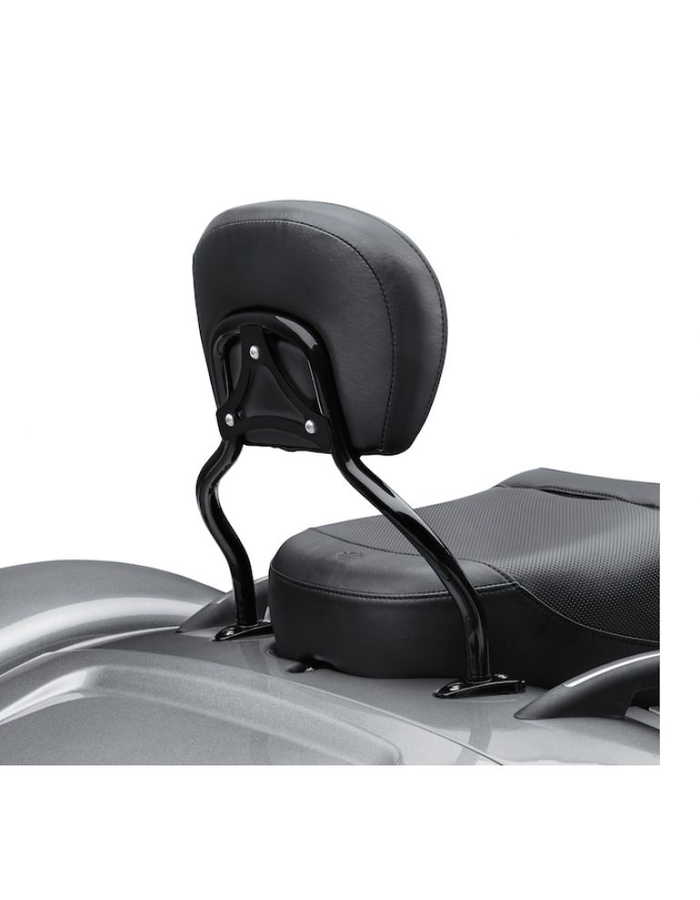 Quick-Release Sissy Bar Upright - Freewheeler