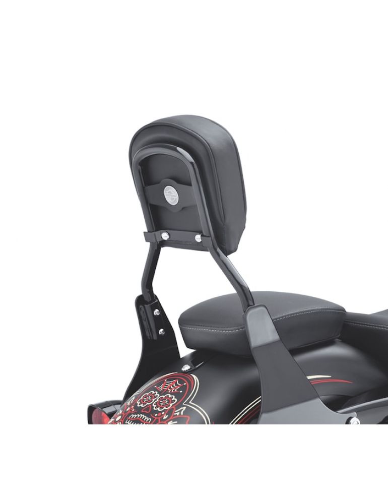 Low Mini-Medallion Style Sissy Bar Upright