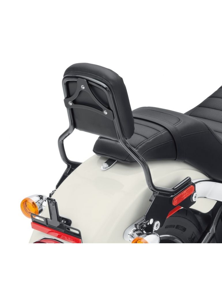 HoldFast Sissy Bar Upright - Standard Height - Gloss Black
