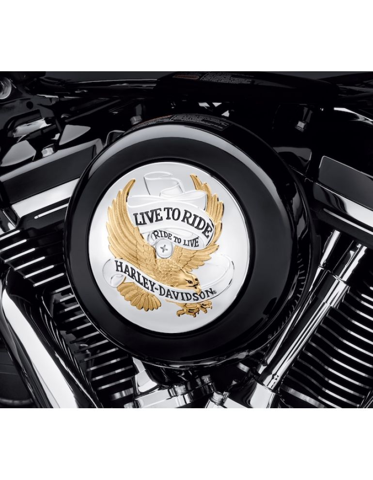 Live To Ride Air Cleaner Trim