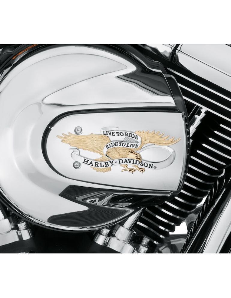 Harley-Davidson® Live To Ride Air Cleaner Trim