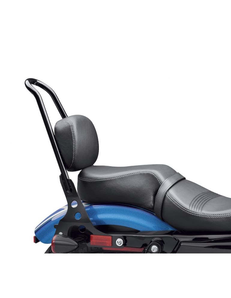 Passenger Backrest Pad