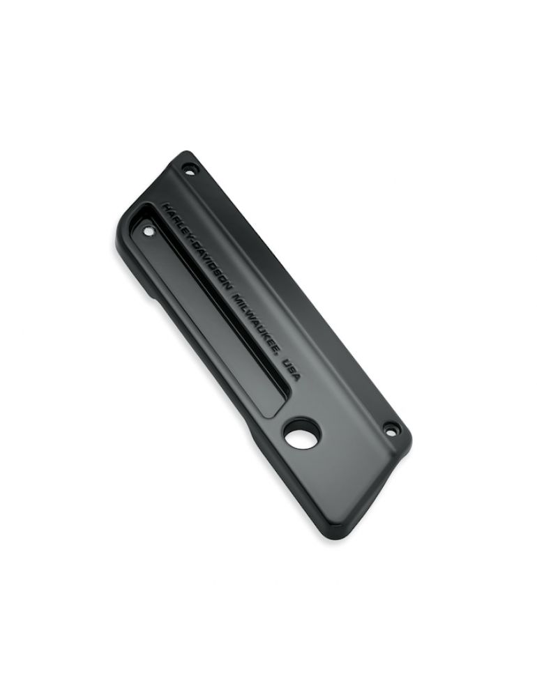 Color-Matched Saddlebag Latch Plate - Left Side