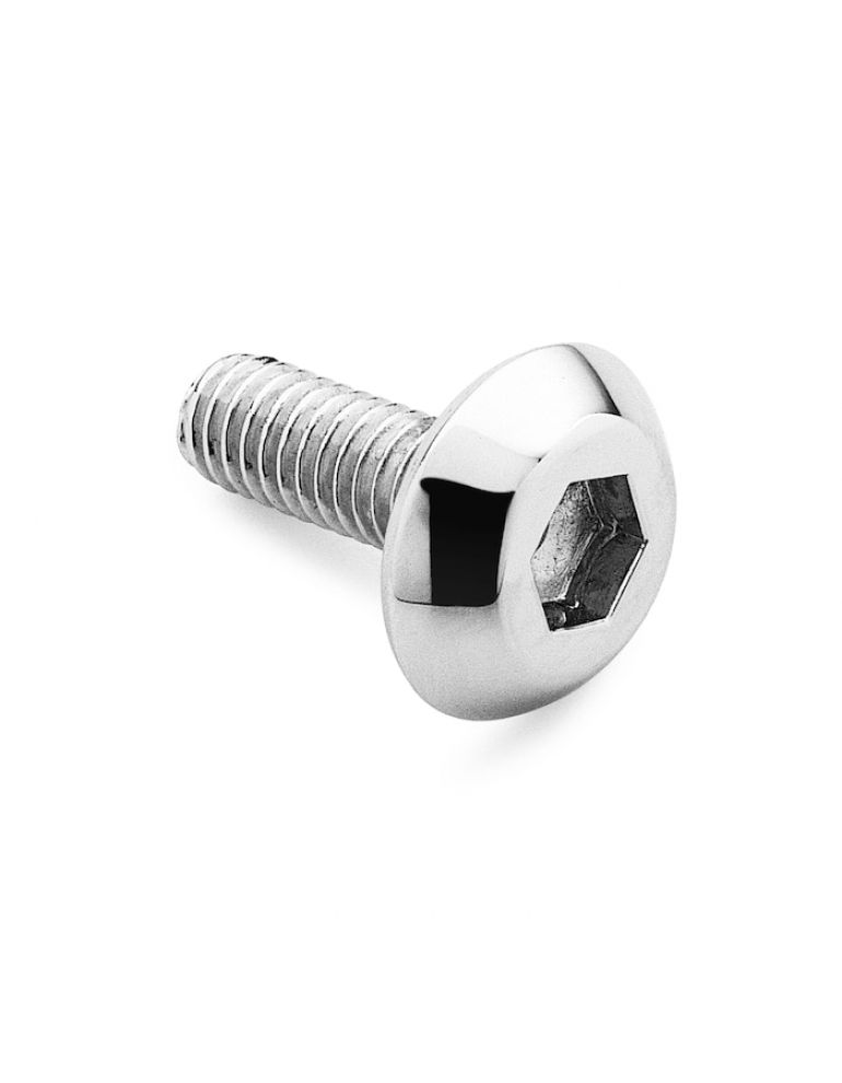 Air Cleaner Screw