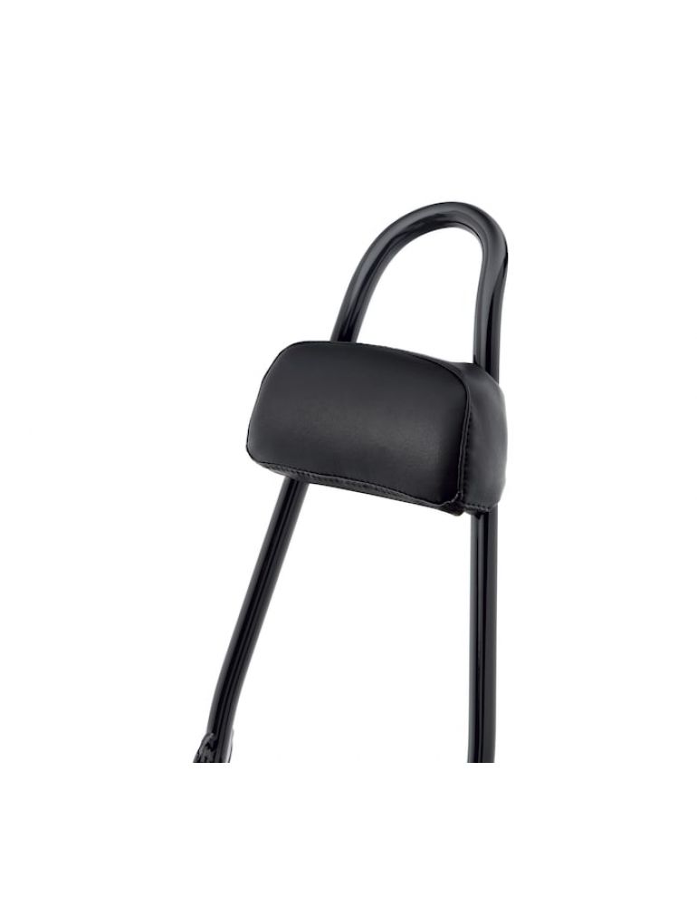 Passenger Backrest Pad