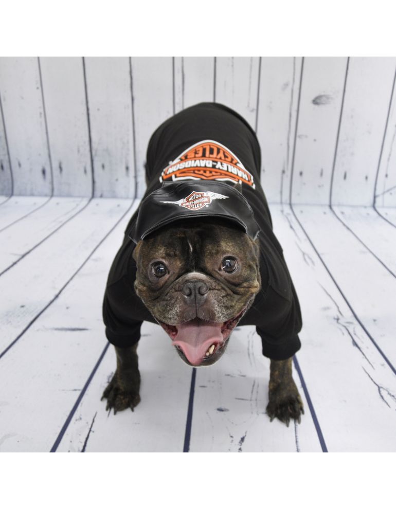 Шапка для собаки HD Pet Cap - Black Vinyl
