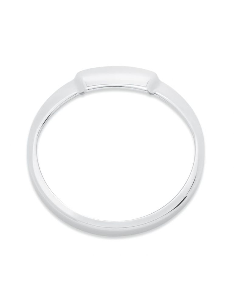 Gauge Visor Ring