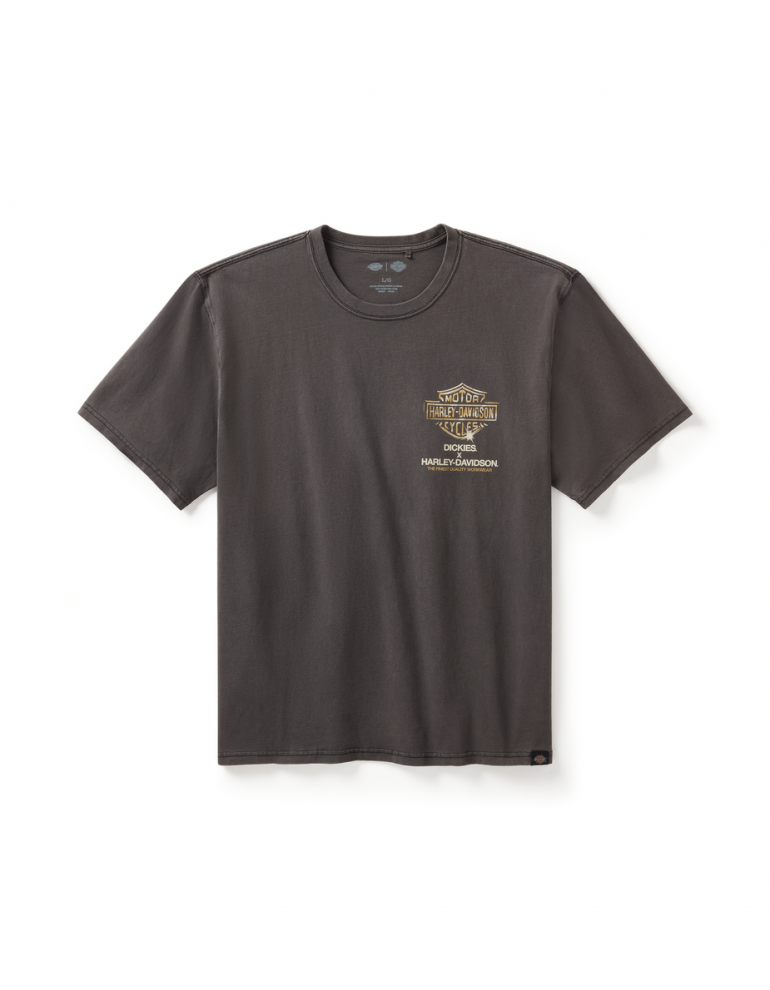 Футболка чоловіча TEE-DICKIES,KNIT,FLAMING EAGLE,BLACK розмір L