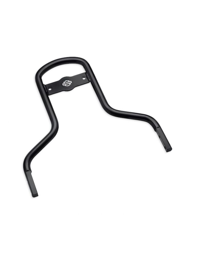 Low Mini-Medallion Style Sissy Bar Upright