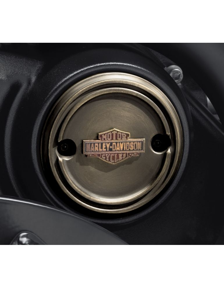 Brass Right Side Medallion