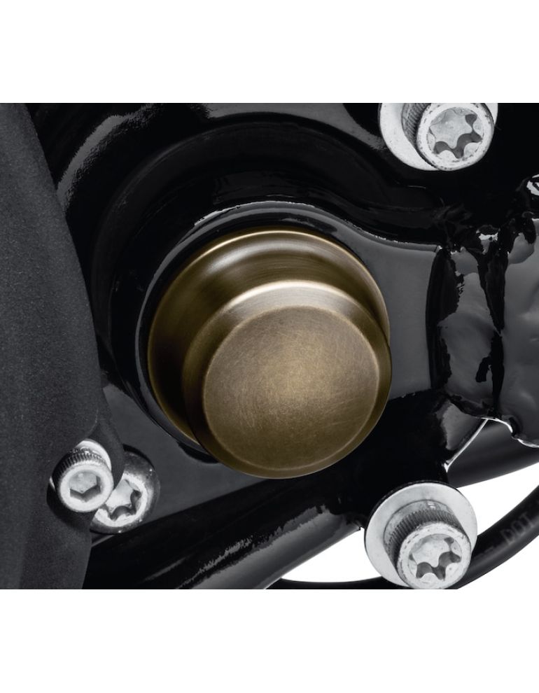 Brass Swingarm Pivot Bolt Cover