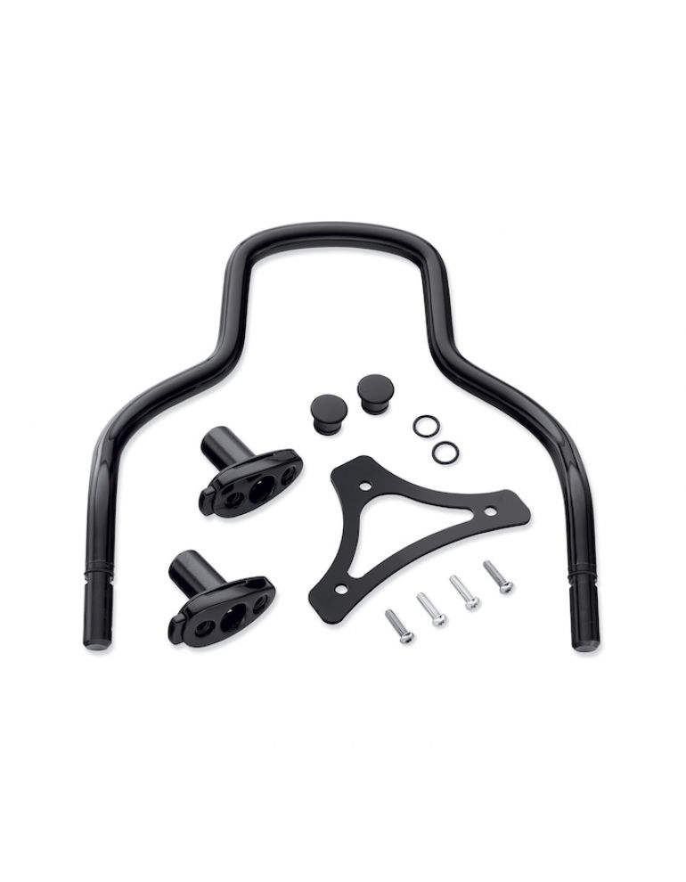 Quick-Release Sissy Bar Upright - Freewheeler
