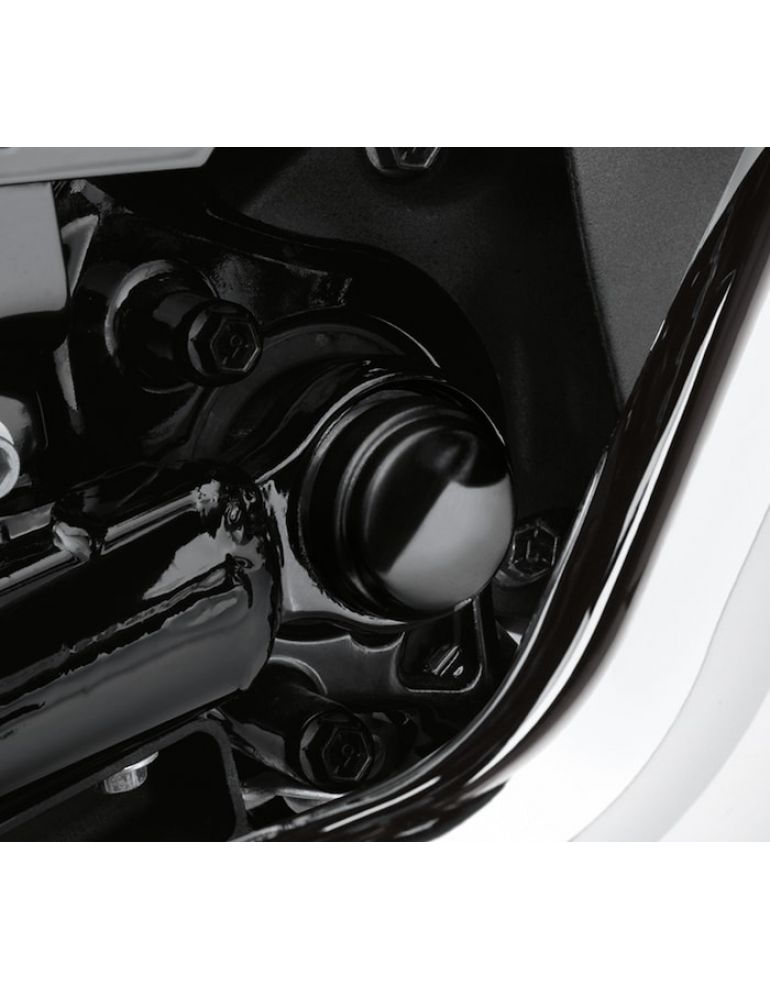 Swingarm Pivot Bolt Cover Kit