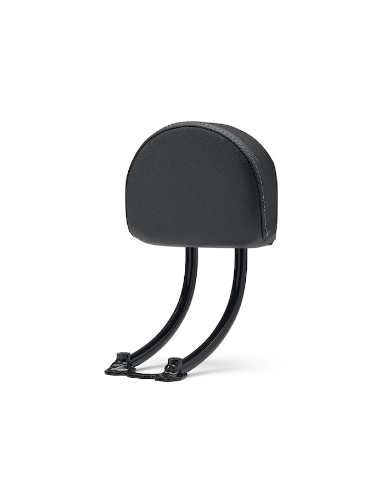Passenger Backrest Kit