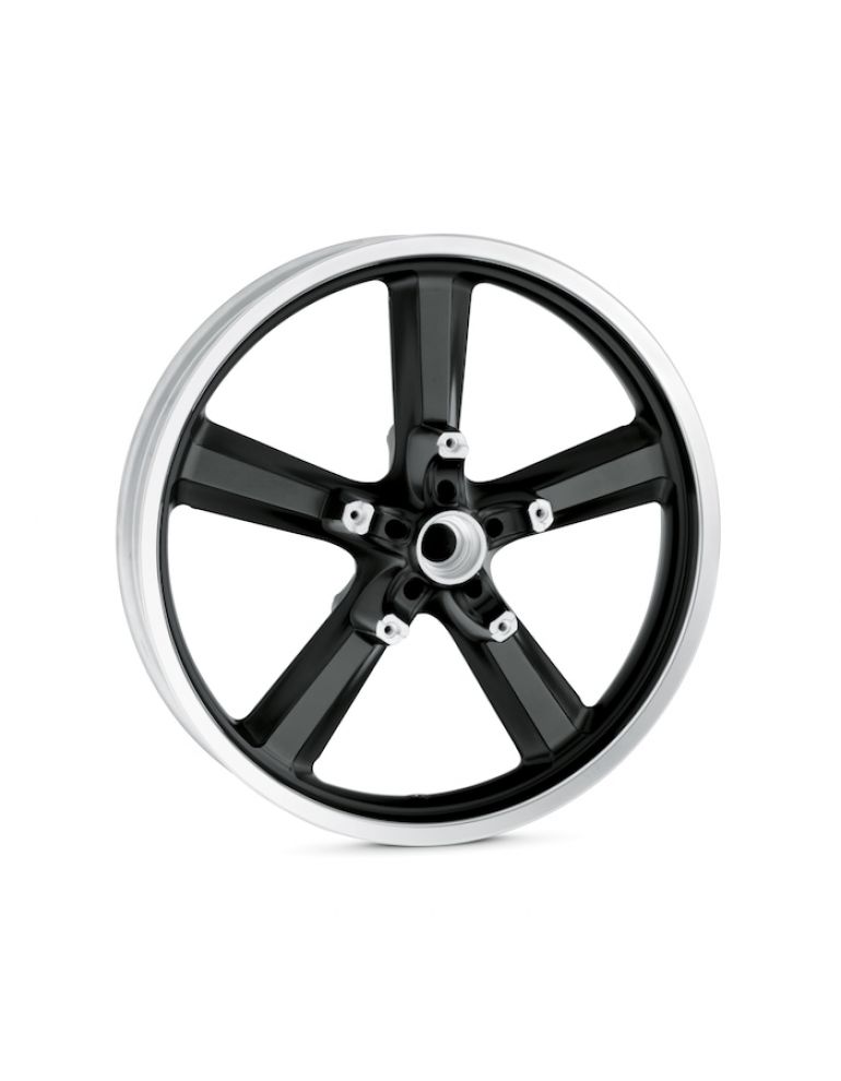 5-Spoke Cast 19 in. Front Wheel - Aluminum
