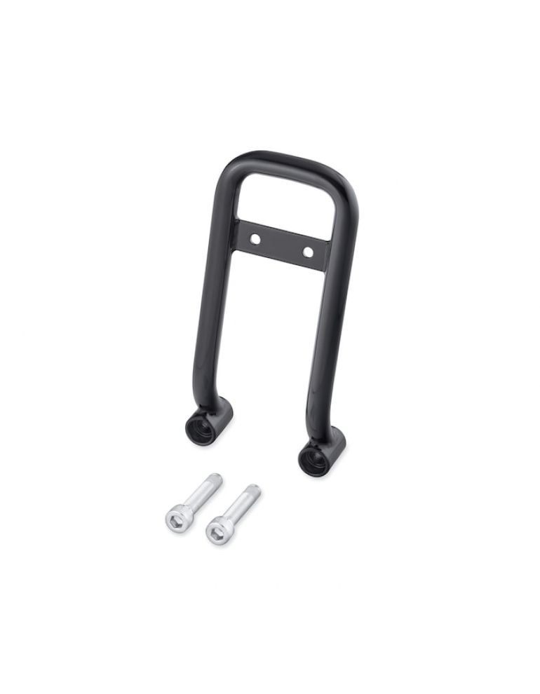 Sissy Bar Upright