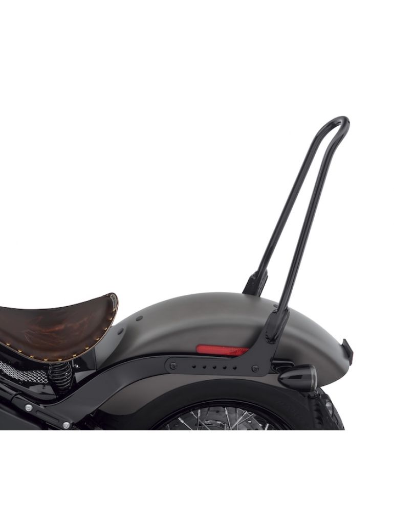 One-Piece Tall Rigid Mount Sissy Bar