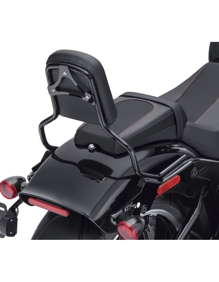 HoldFast Sissy Bar Upright - Standard Height - Gloss Black