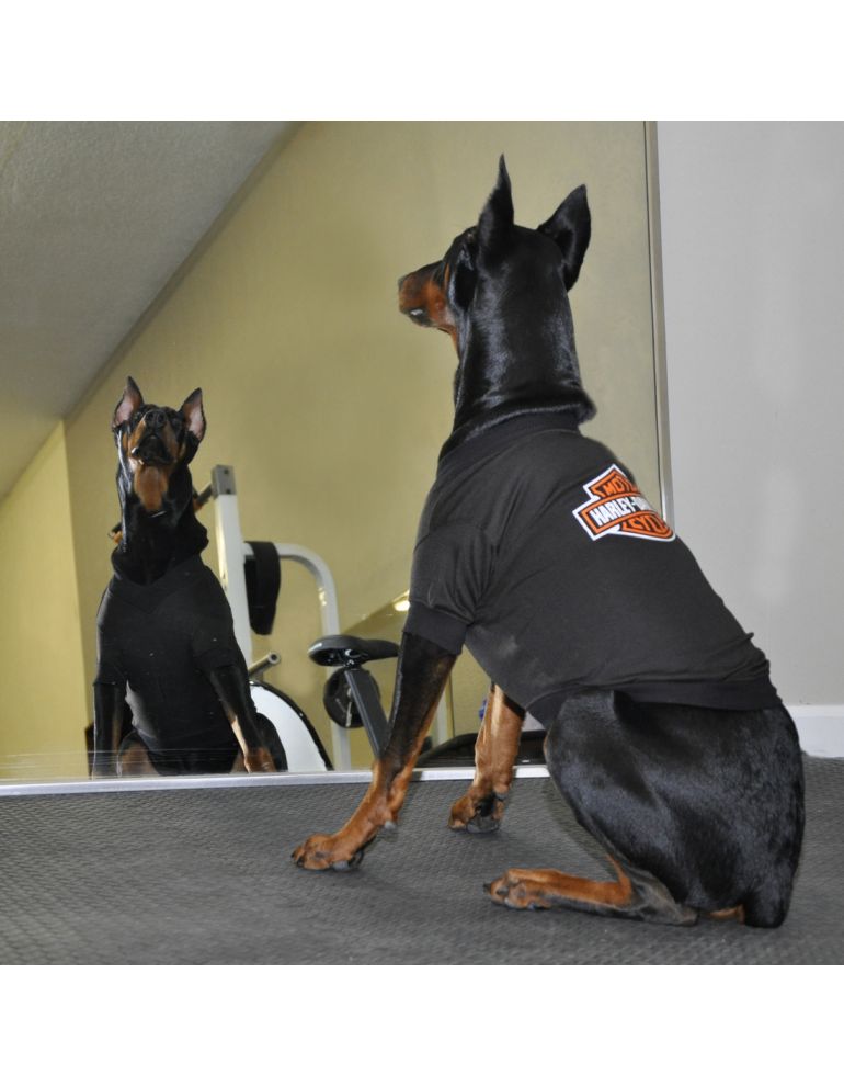 Футболка для собаки H-D Pet T-Shirt - Bar &amp; Shield