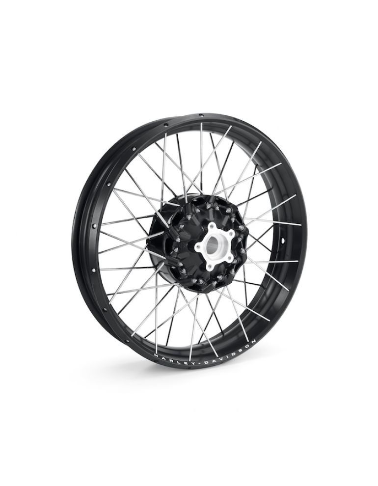 Laced 19 in. Front Wheel