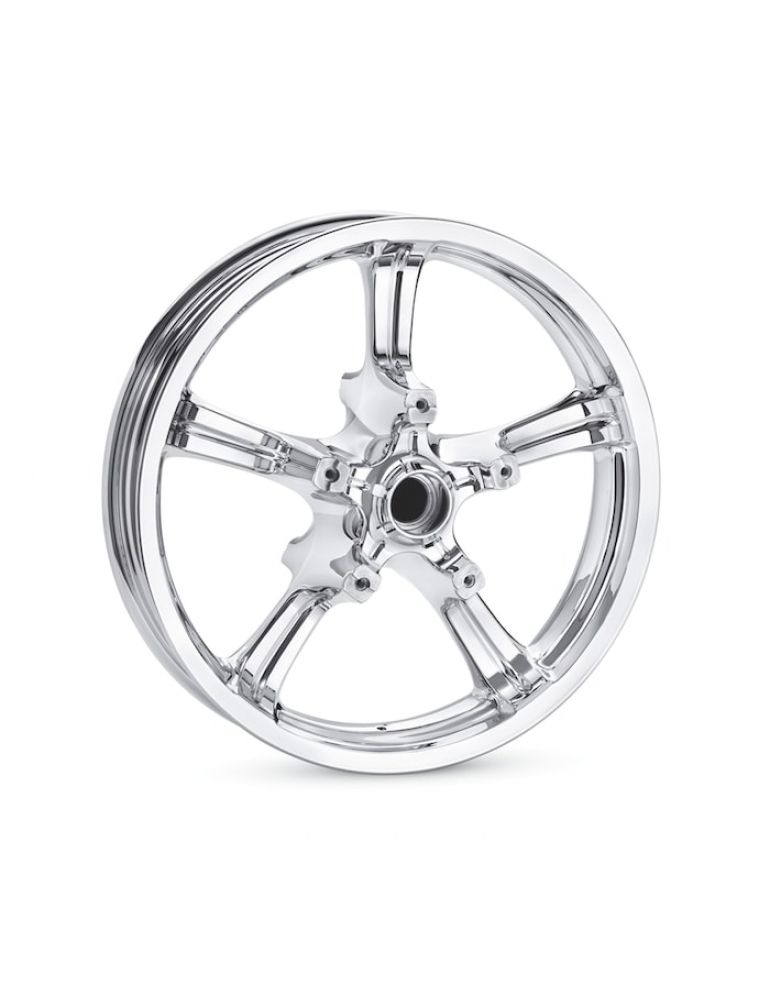 Anarchy 5-Spoke 18 in. Front Wheel