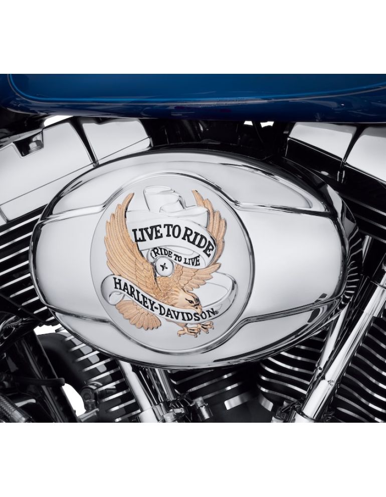 Live To Ride Gold Air Cleaner Trim