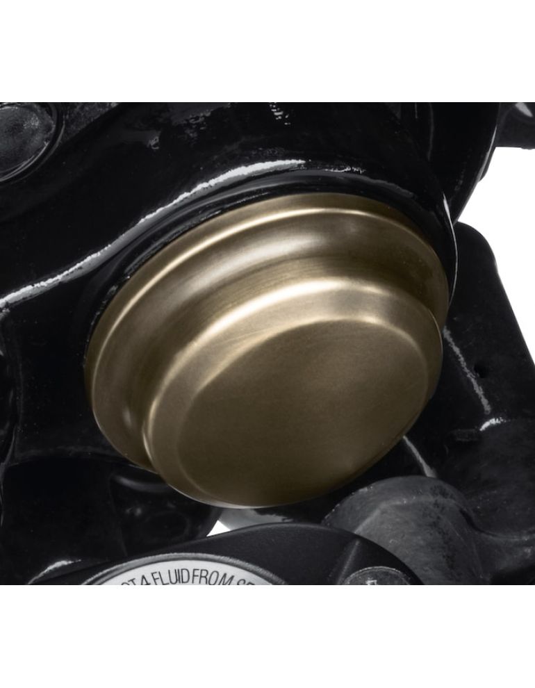 Brass Swingarm Pivot Bolt Cover