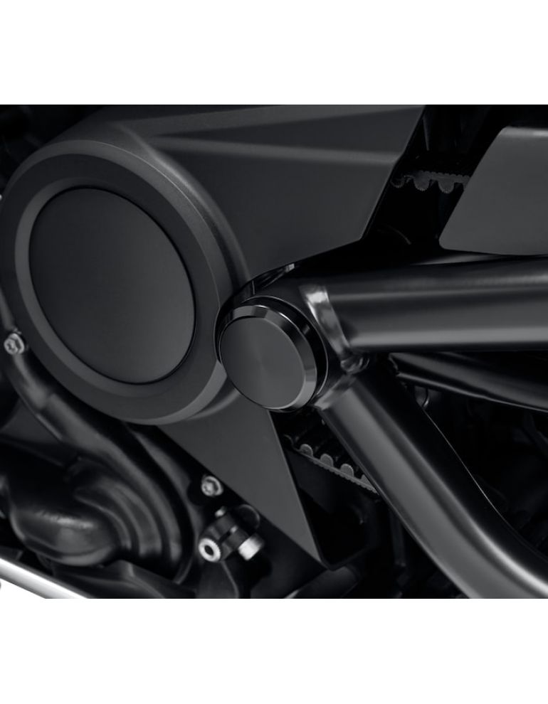 Swingarm Pivot Bolt Covers