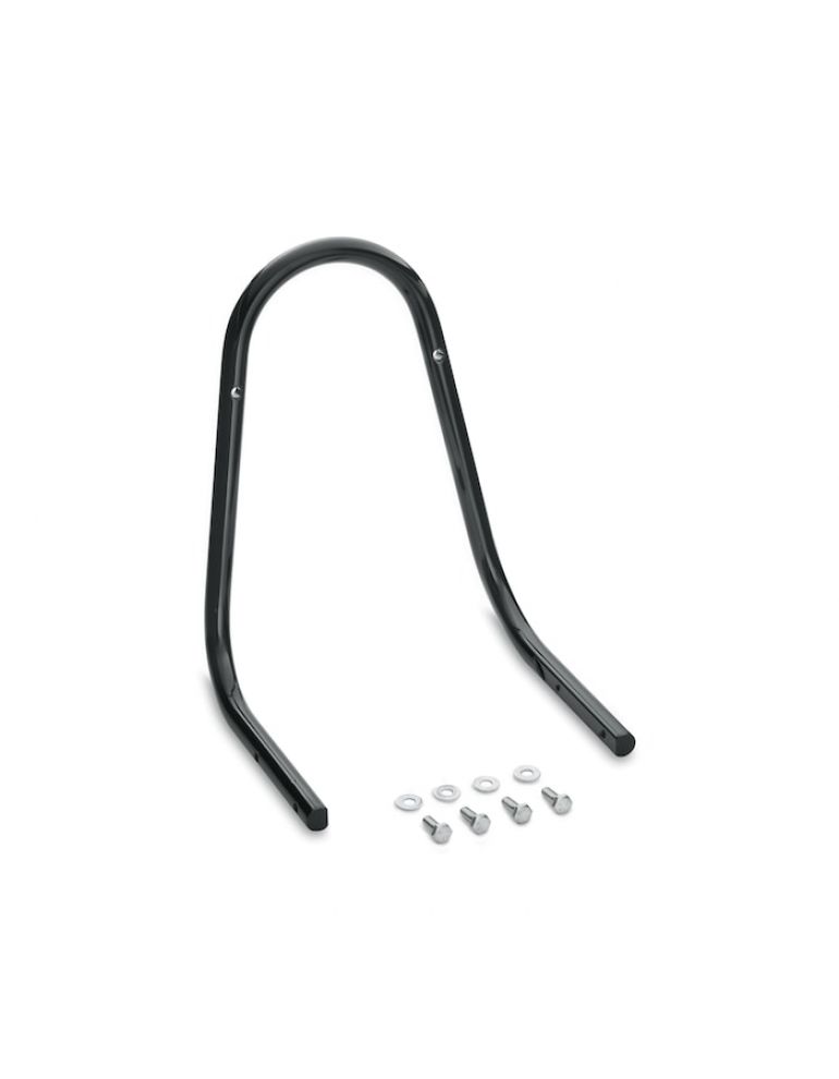 Passenger Sissy Bar Upright