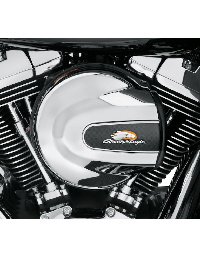 Screamin' Eagle Air Cleaner Insert