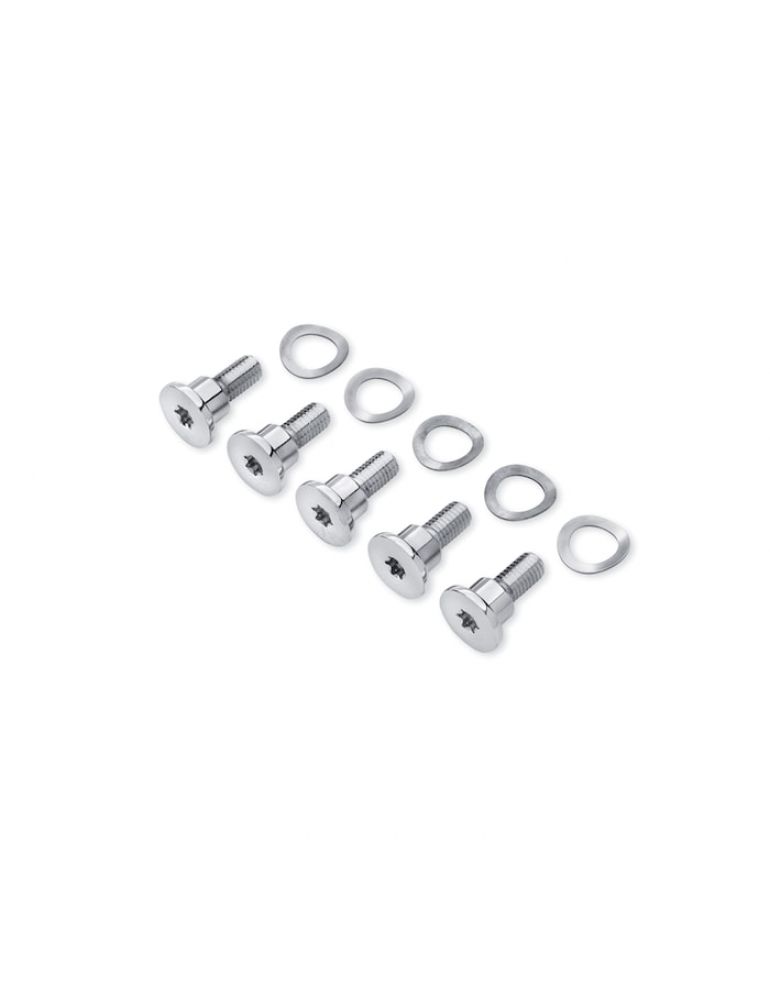 Chrome Brake Rotor Hardware Kit
